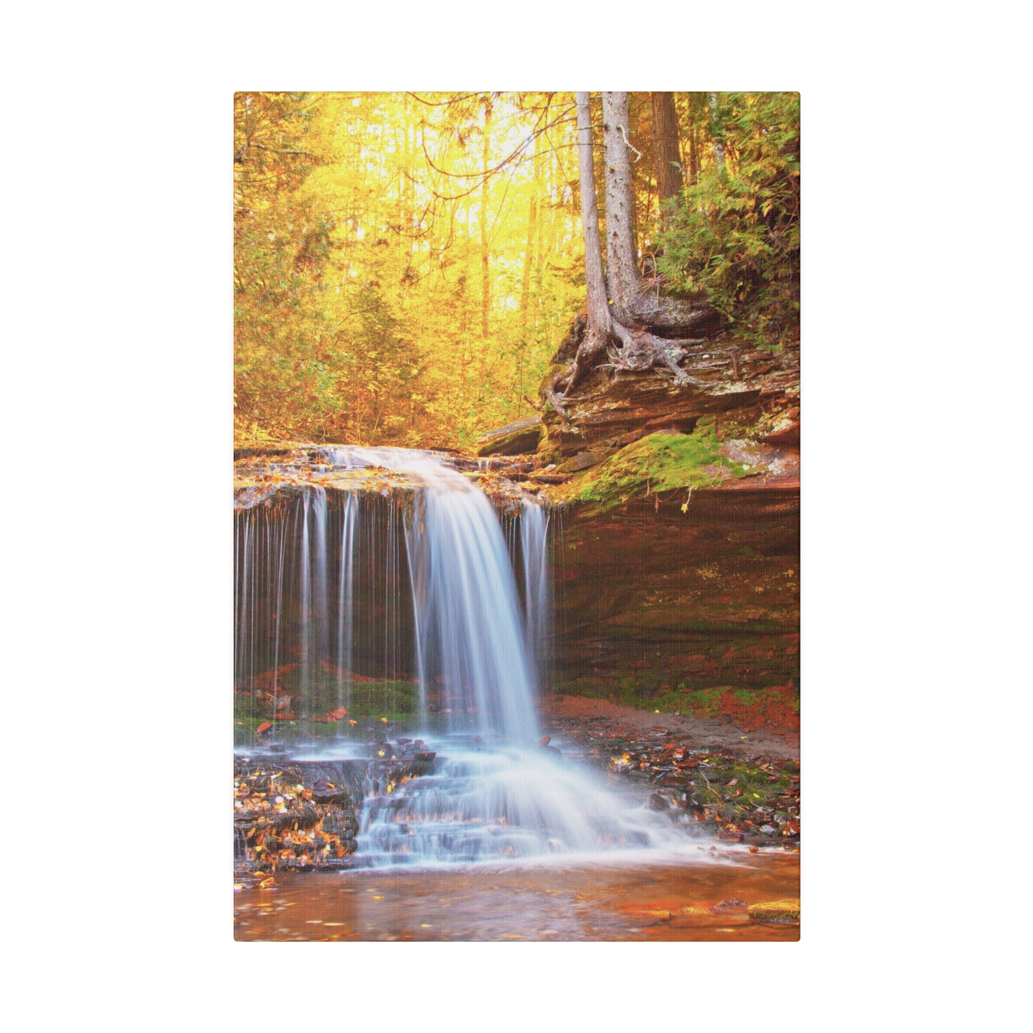 Lost Creek Falls in Fall Season by Daniel Acker (canvas print, 12"x18")